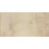 Magnétik beige